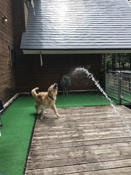 2019-7-1-1.jpg