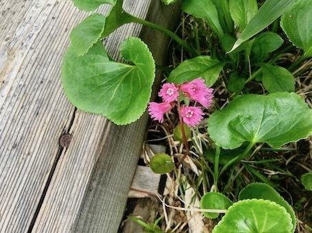 2019-7-10-11.jpg