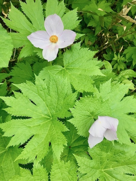 2019-7-10-15.jpg