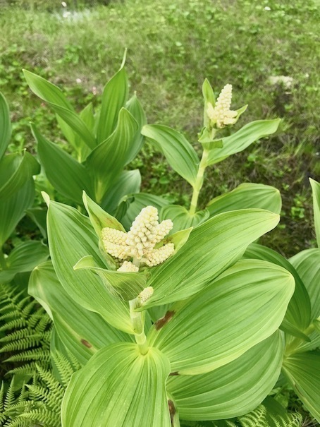 2019-7-10-2.jpg