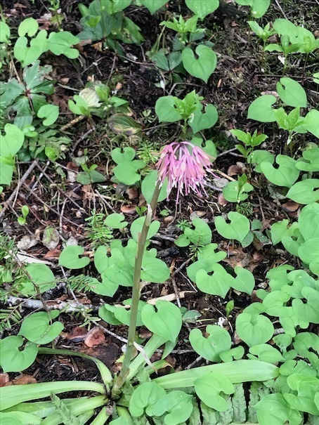 2019-7-10-20.jpg