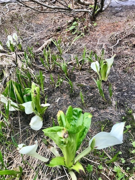 2019-7-10-3.jpg
