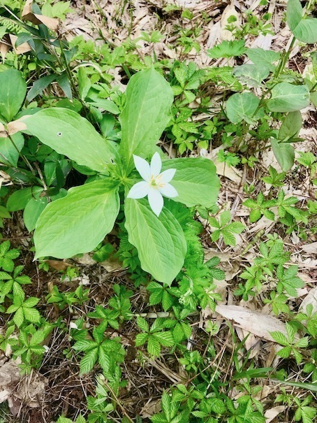 2019-7-10-4.jpg