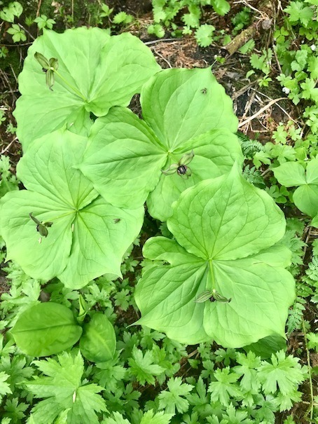 2019-7-10-6.jpg