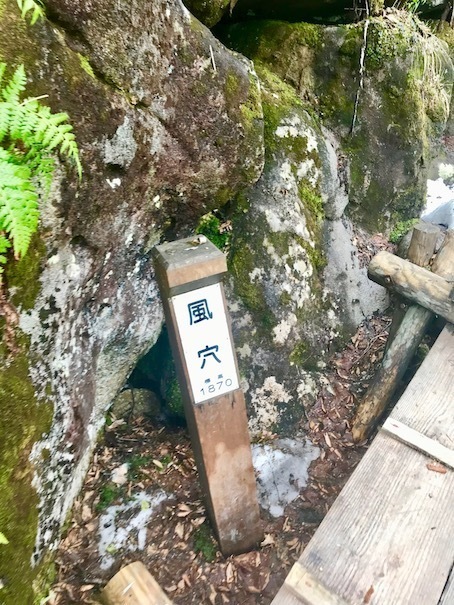 2019-7-10-7.jpg