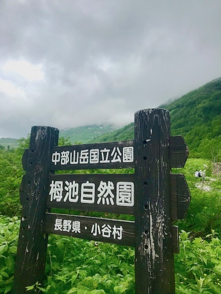 2019-7-10.jpg