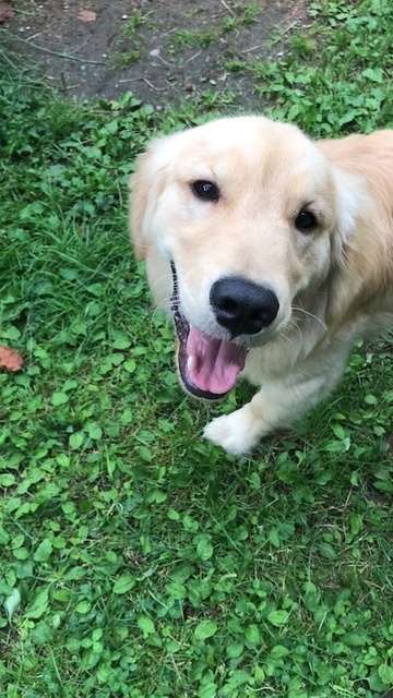 2019-7-15-2.jpg