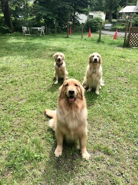 2019-7-15.jpg
