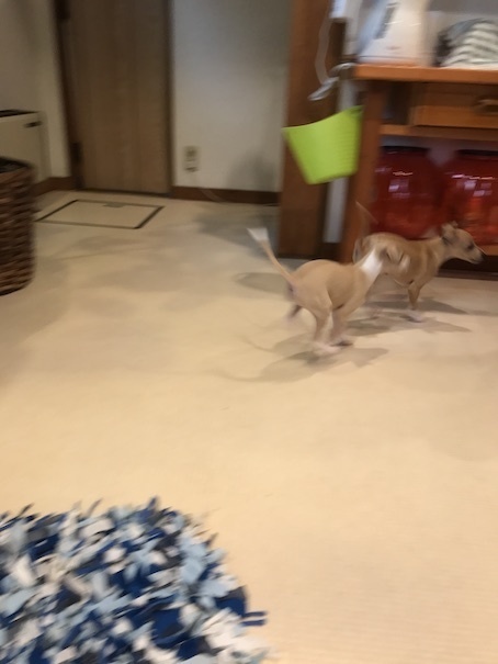 2019-7-16-3.jpg