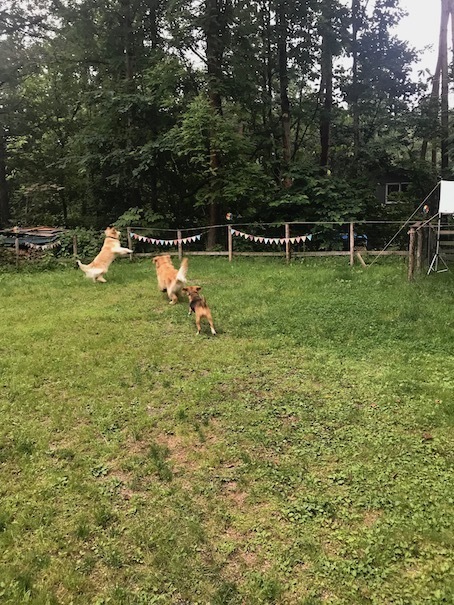 2019-7-21-3.jpg