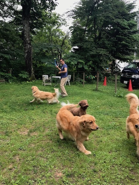 2019-7-23.jpg