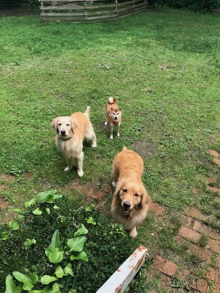 2019-7-24-3.jpg