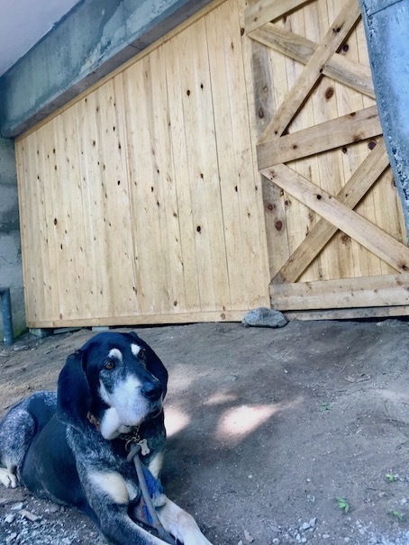 2019-7-26-1.jpg