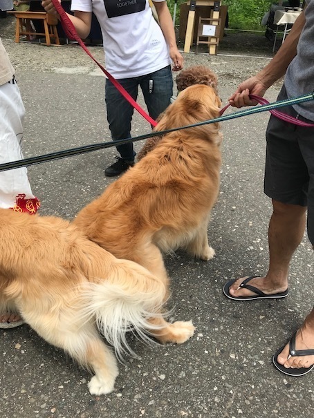 2019-7-28.jpg
