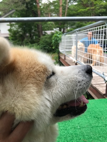 2019-7-4-1.jpg