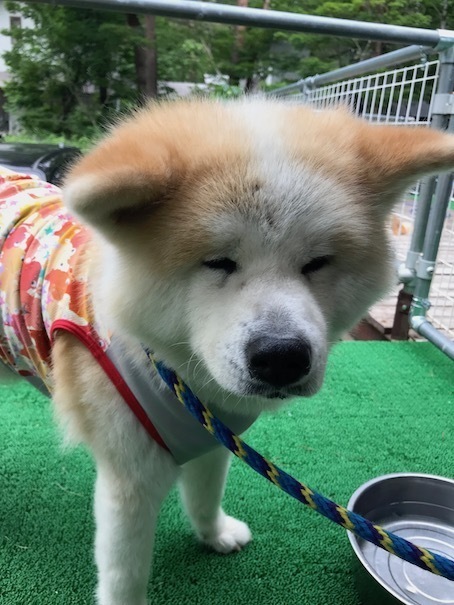 2019-7-4.jpg