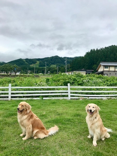 2019-7-7.jpg