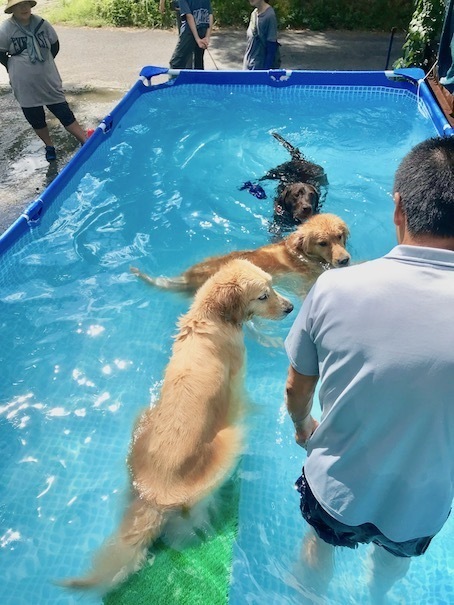 2019-8-13.jpg