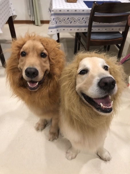 2019-8-20.jpg