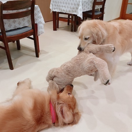 2019-8-22-1.jpg