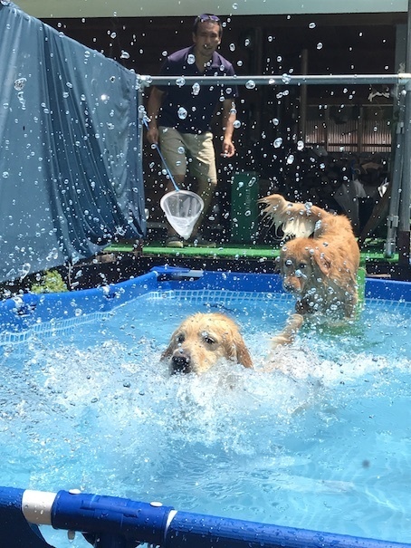 2019-8-8-3.jpg