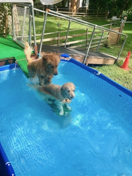 2019-8-9-2.jpg