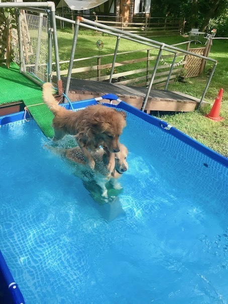 2019-8-9-3.jpg
