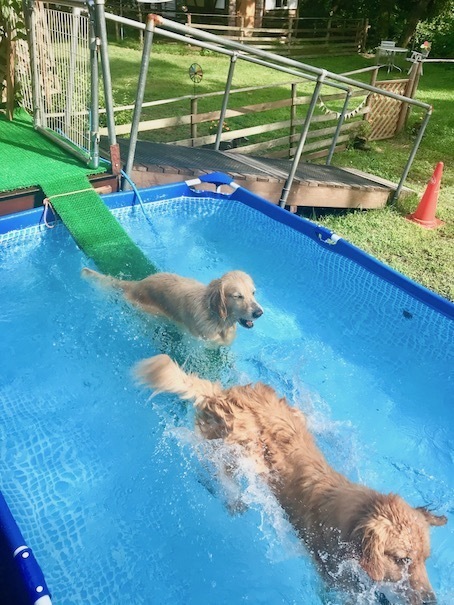 2019-8-9-6.jpg