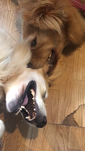 2019-9-11-2.jpg