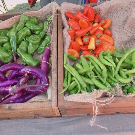 2019-9-14-4.jpg