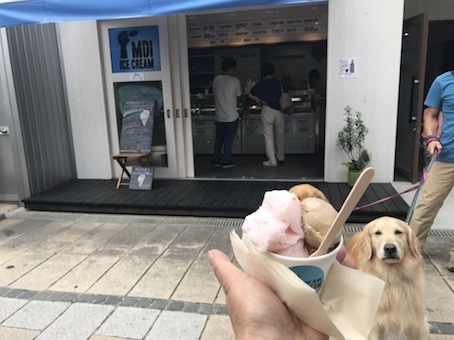 2019-9-24-1.jpg