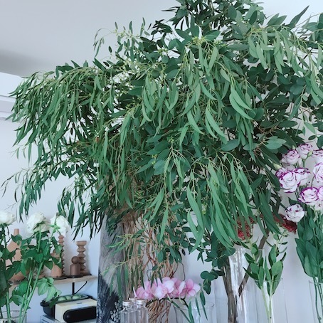 2019-9-25-2.jpg
