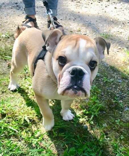 2019-9-9.jpg