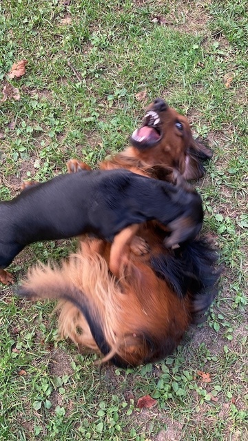 2021-10-11-1.JPG